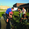 A raised bed garden is grown at HHS by Lewis County C-1 FFA members.  The garden is used to show students alternative growing practices and introduce students to different varieties of vegetables.
