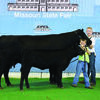 Frost Forever Lady 510 won reserve grand champion cow-calf pair at the 2016 Missouri State Fair 4-H Angus Show, Aug. 11 in Sedalia, Mo. Skyler Runnells, La Grange, Mo., owns the August 2010 daughter of PCA Leadon 5011. A May 2016 heifer calf sired by Meyer Raven 1255 is at side. Chris Polzin, Darwin, Minn., evaluated the 91 entries. Photo by Adam Conover, American Angus Association.