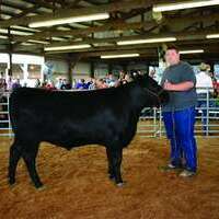 Cattle Herdsmanship Award- Jackson Putnam